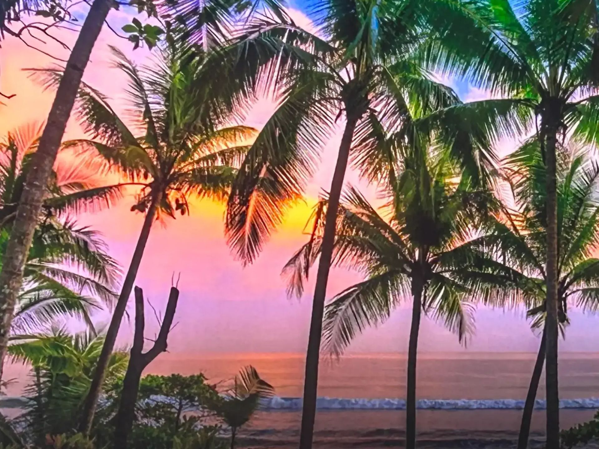 Sunset over the palms in Placencia, Belize