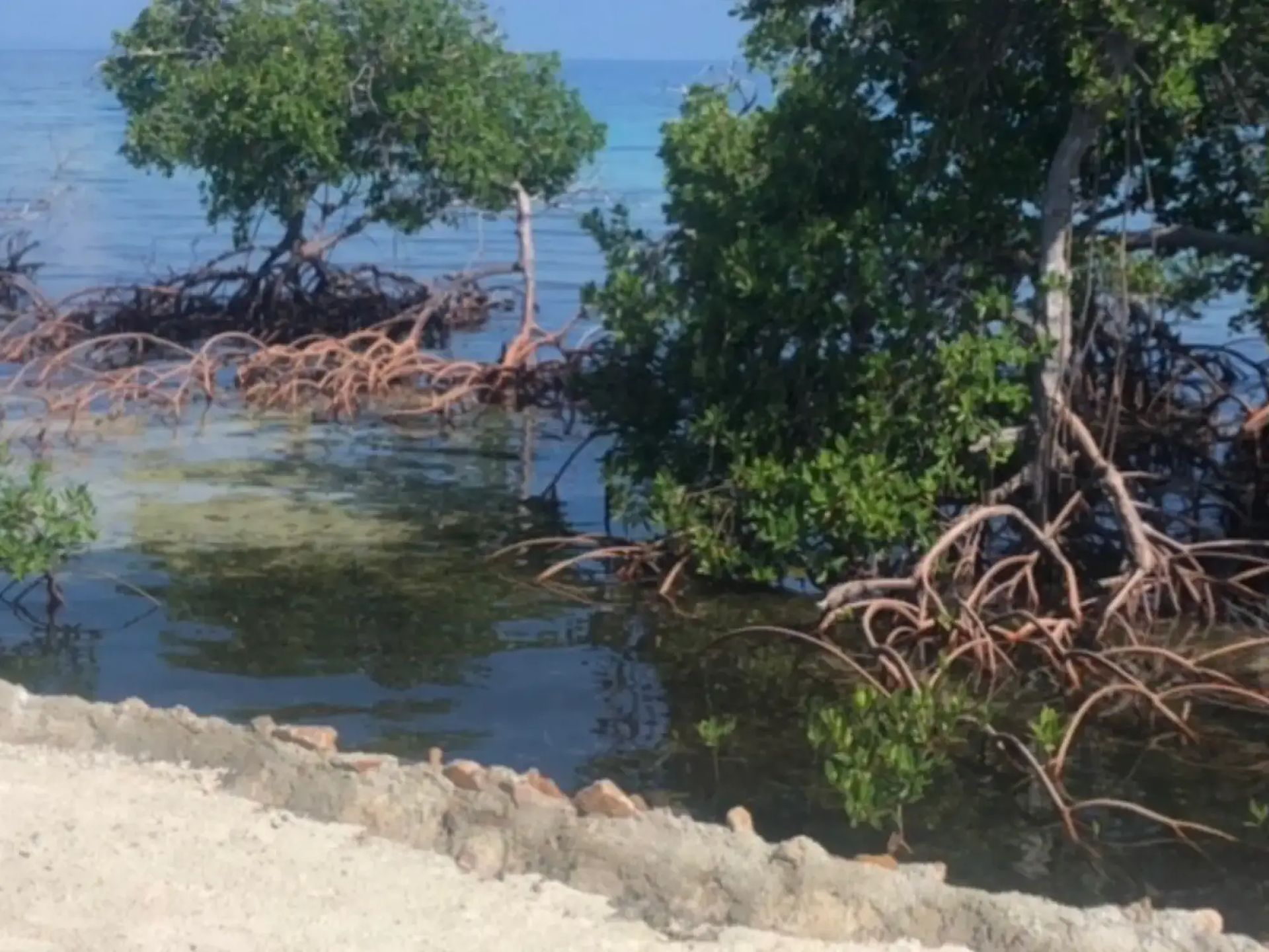 Island hopping in Belize